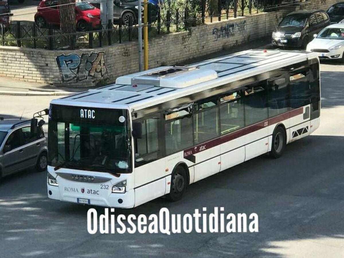 Insultato dal conducente perché ho scattato una foto - 