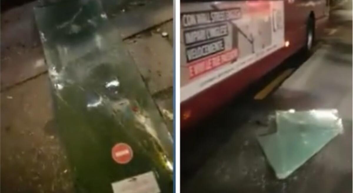 Roma, distrugge il bus notturno poi tenta la fuga - 