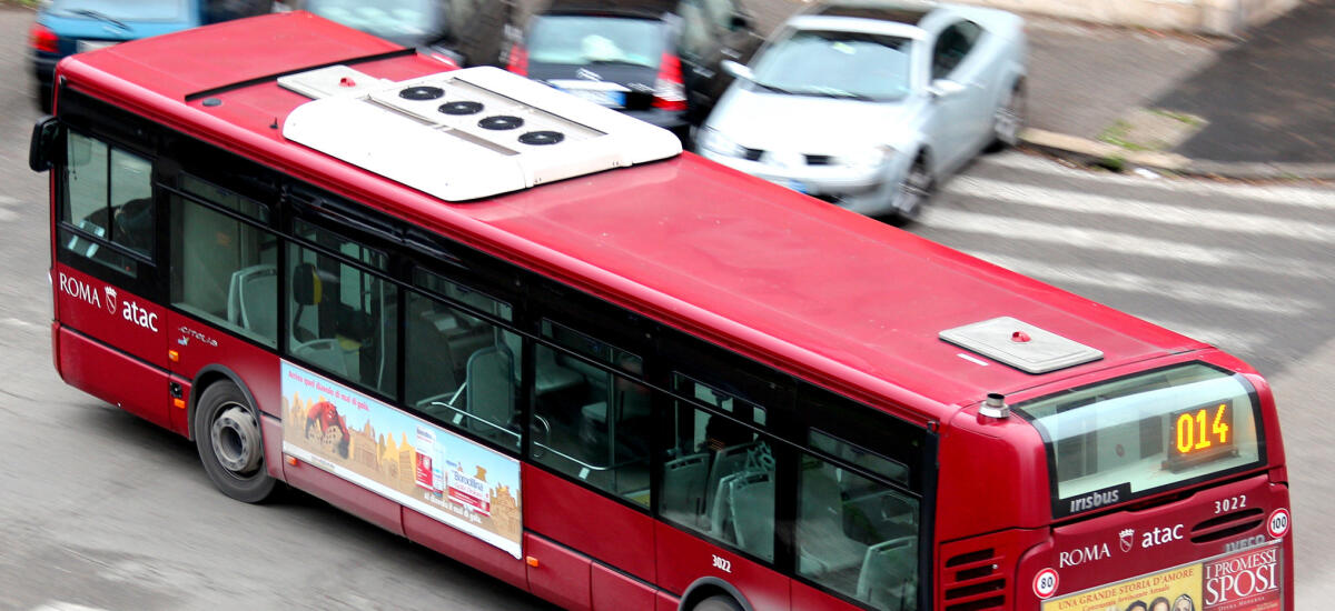 United Colors of Atac - 