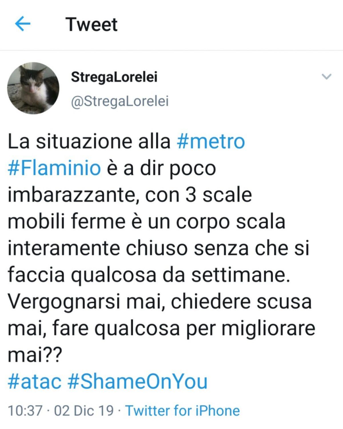 Metro A, stazione Flaminio: Vergognarsi Mai, chiedere scusa Mai, fare qualcosa per migliorare Mai! - 