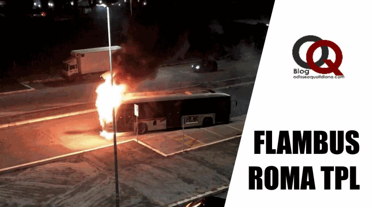 La linea 555 ha una vettura di meno - 