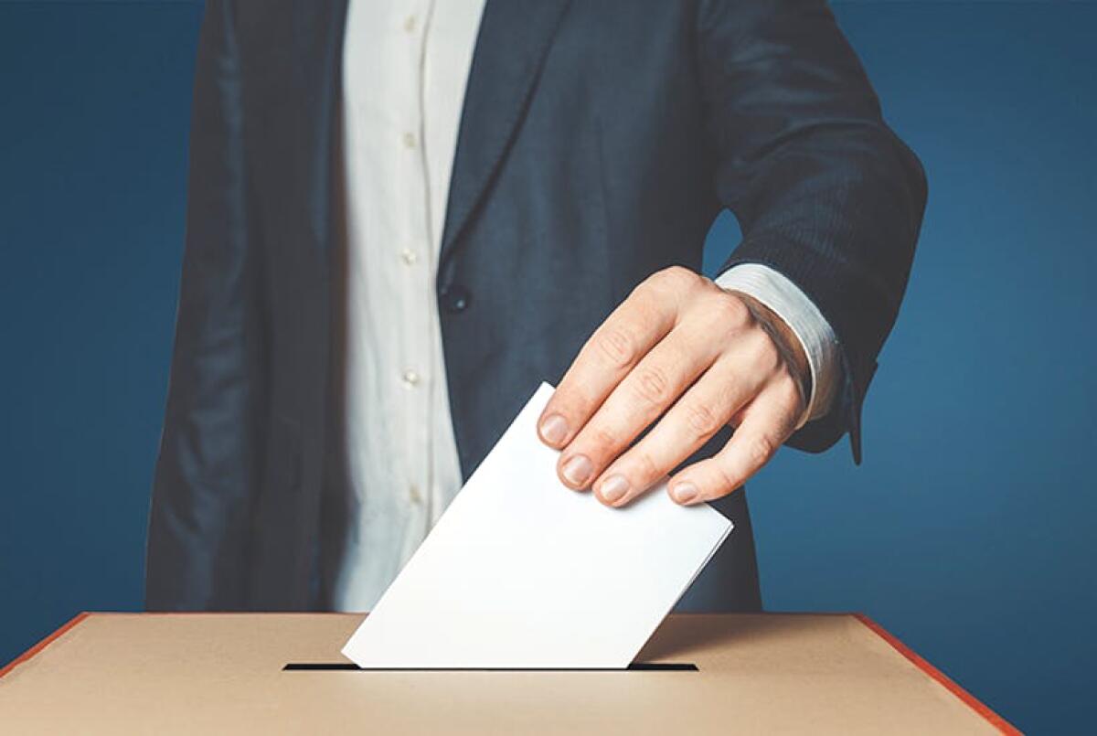 De rerum referendarum, ultime considerazioni sulla consultazione - 