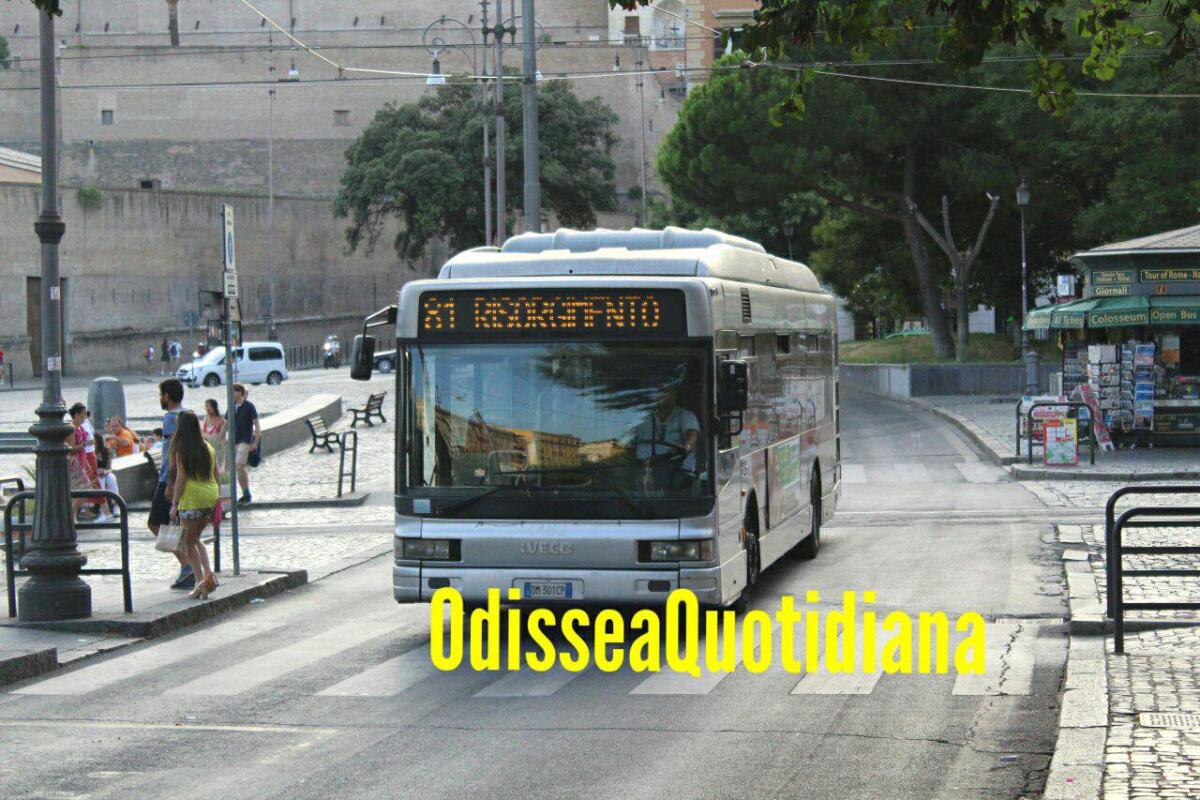 Da lunedì cambia il percorso per la linea 81 - 