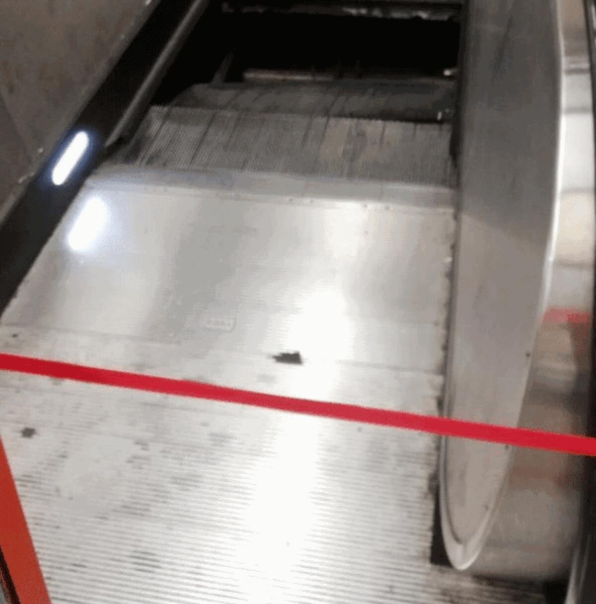 Ancora una scala mobile distrutta sulla Metro A - 