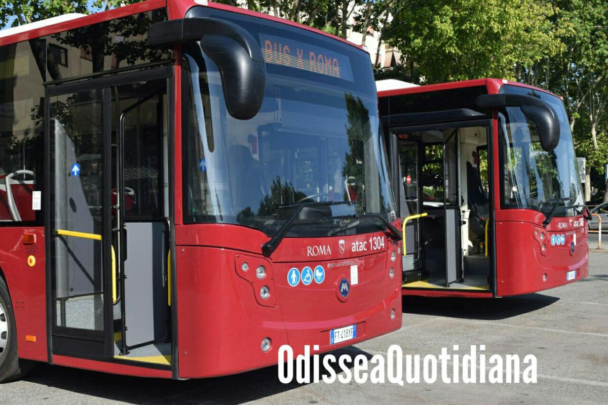 Linea 709 a Giardino di Roma? Anche no, si può fare di meglio - 