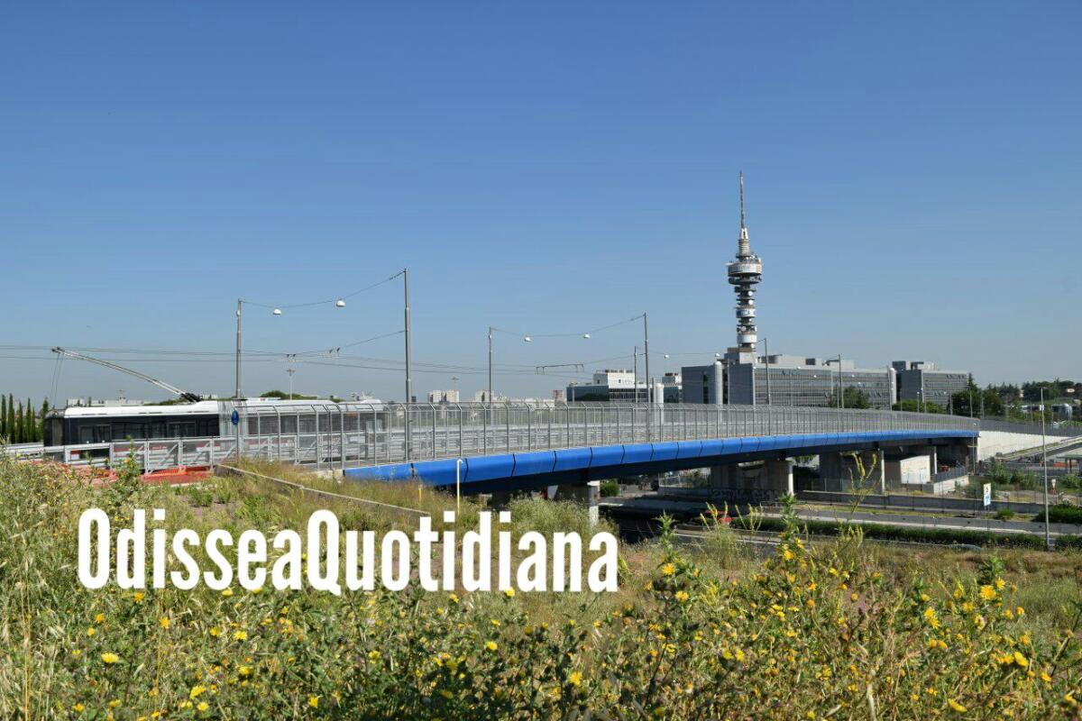 Filobus Laurentino, le opinioni degli utenti - 