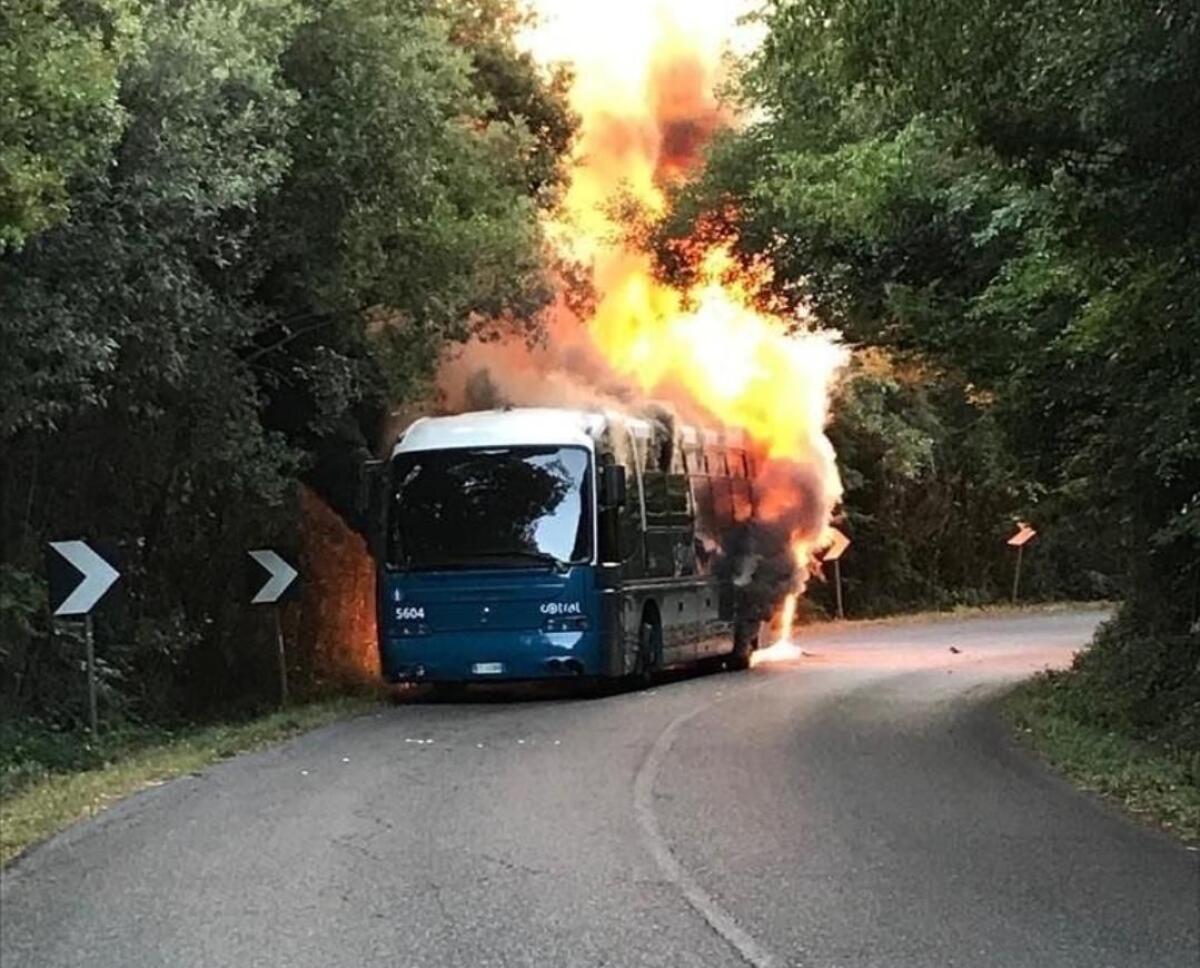 Cotral - Un altro bus a fuoco - 