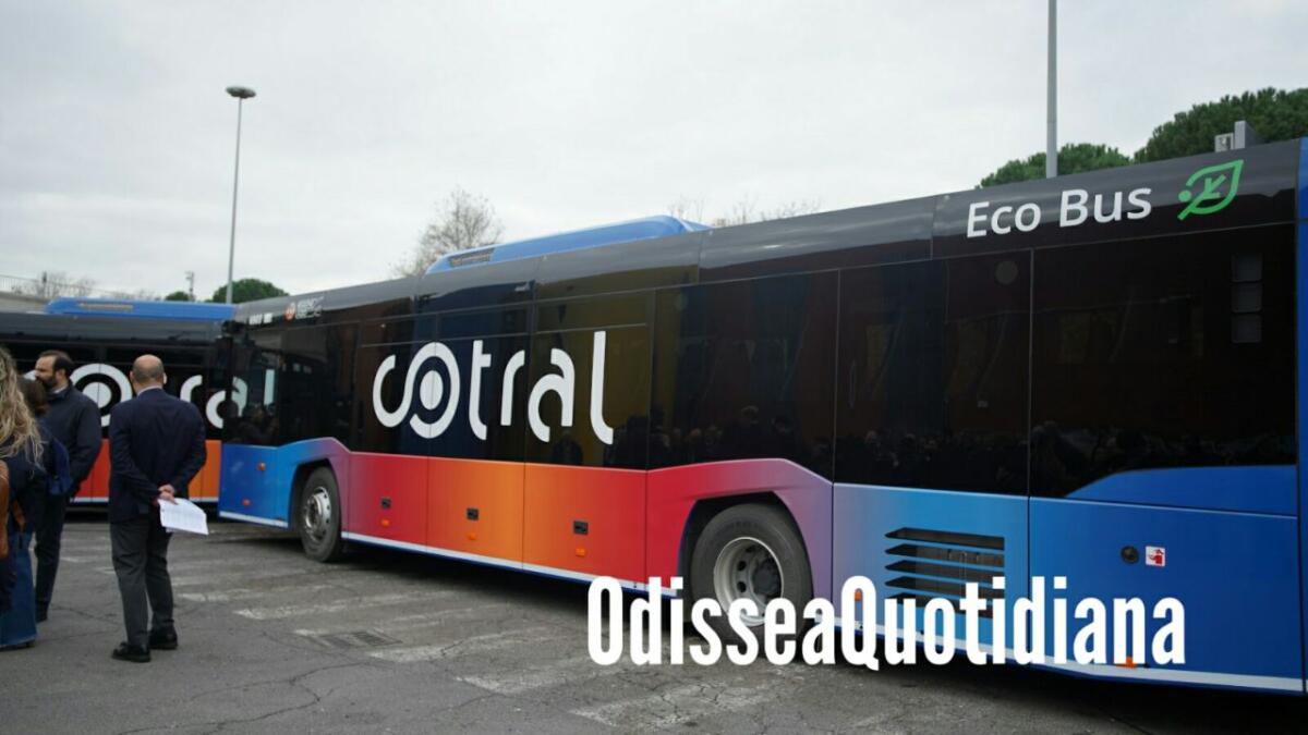 Cotral, bando per assumere 100 autisti - 