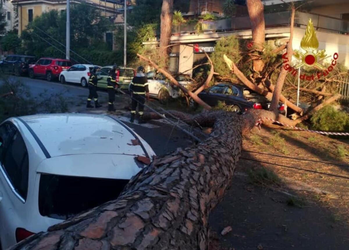 Il linguaggio di Atac - 