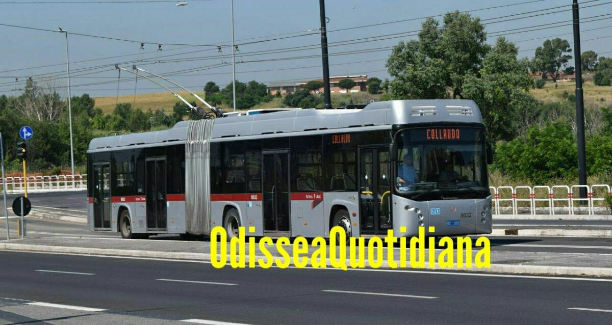 Flop corridoio della mobilità: filobus restano fermi in deposito - 