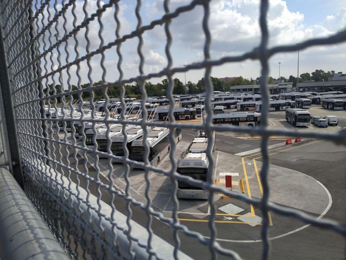 Quel filobus sulla Laurentina - 