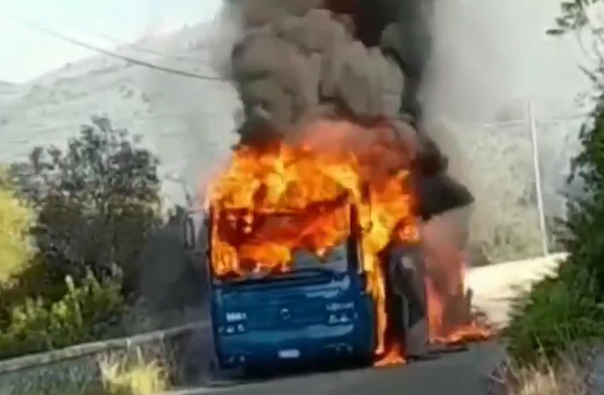In fiamme un autobus di Cotral - 