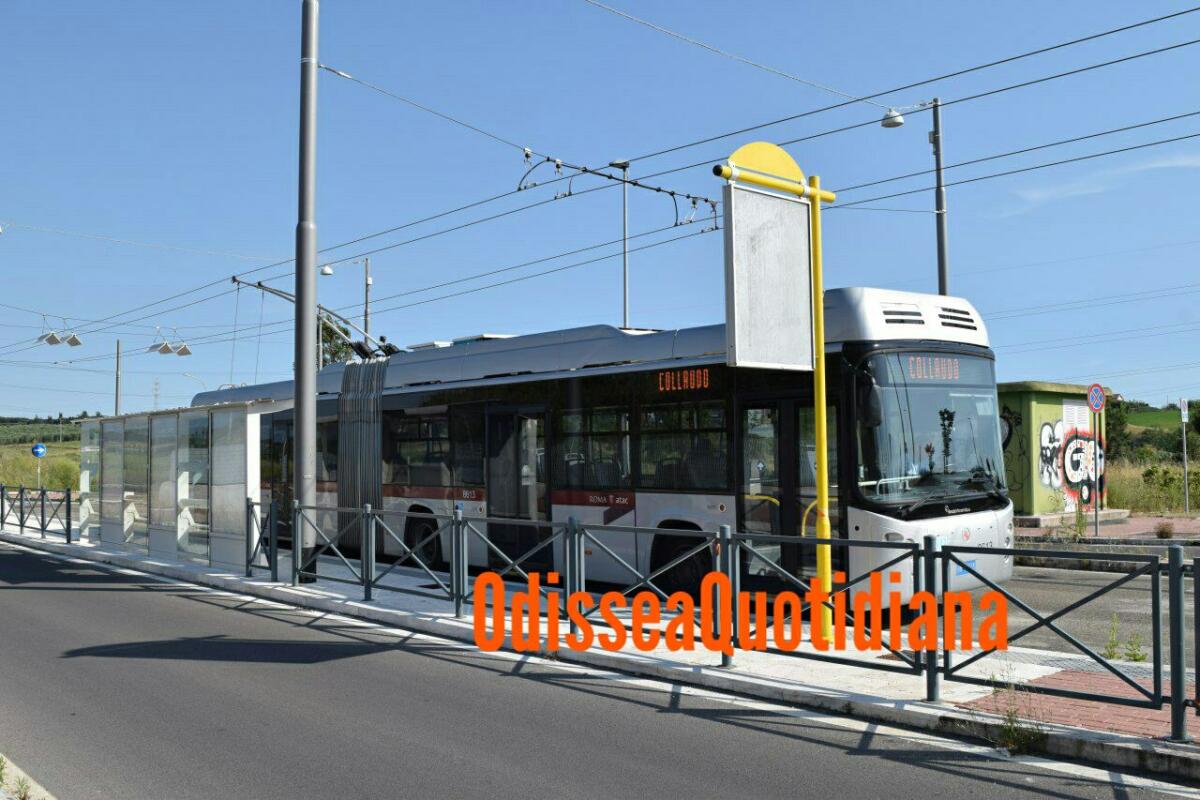 Filobus, ancora fermi in deposito. “I mezzi sostitutivi sono più piccoli. Con gli studenti sarà il caos” - 