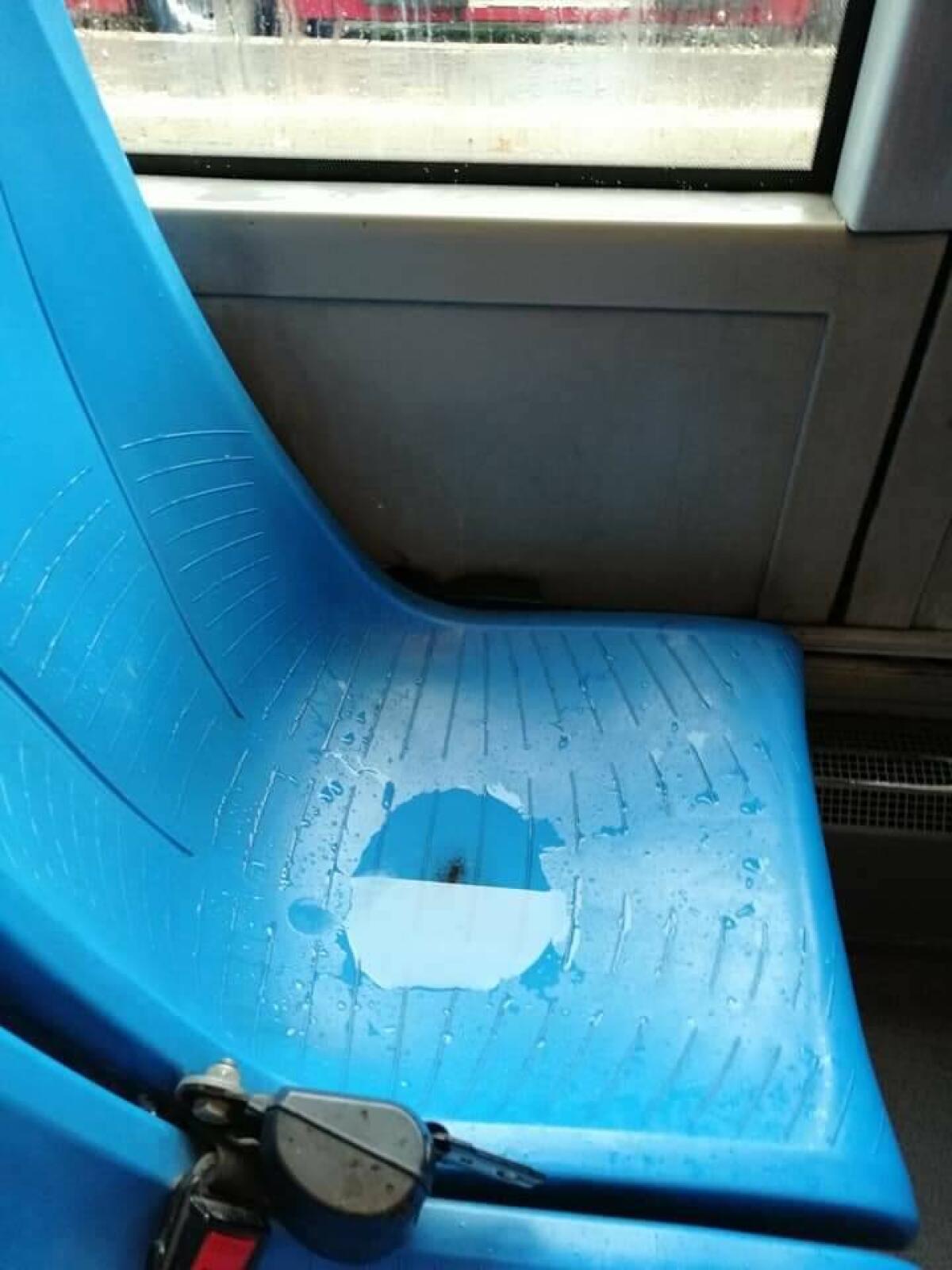 Ostia, piove nel bus ma per Atac il mezzo deve fare il servizio - 