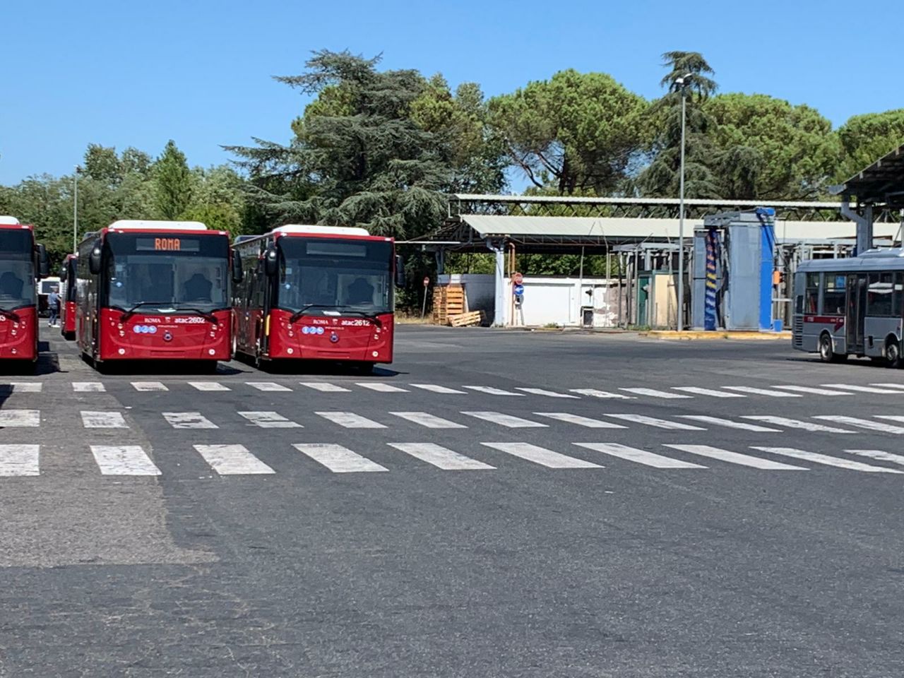 nuovi+bus.jpg