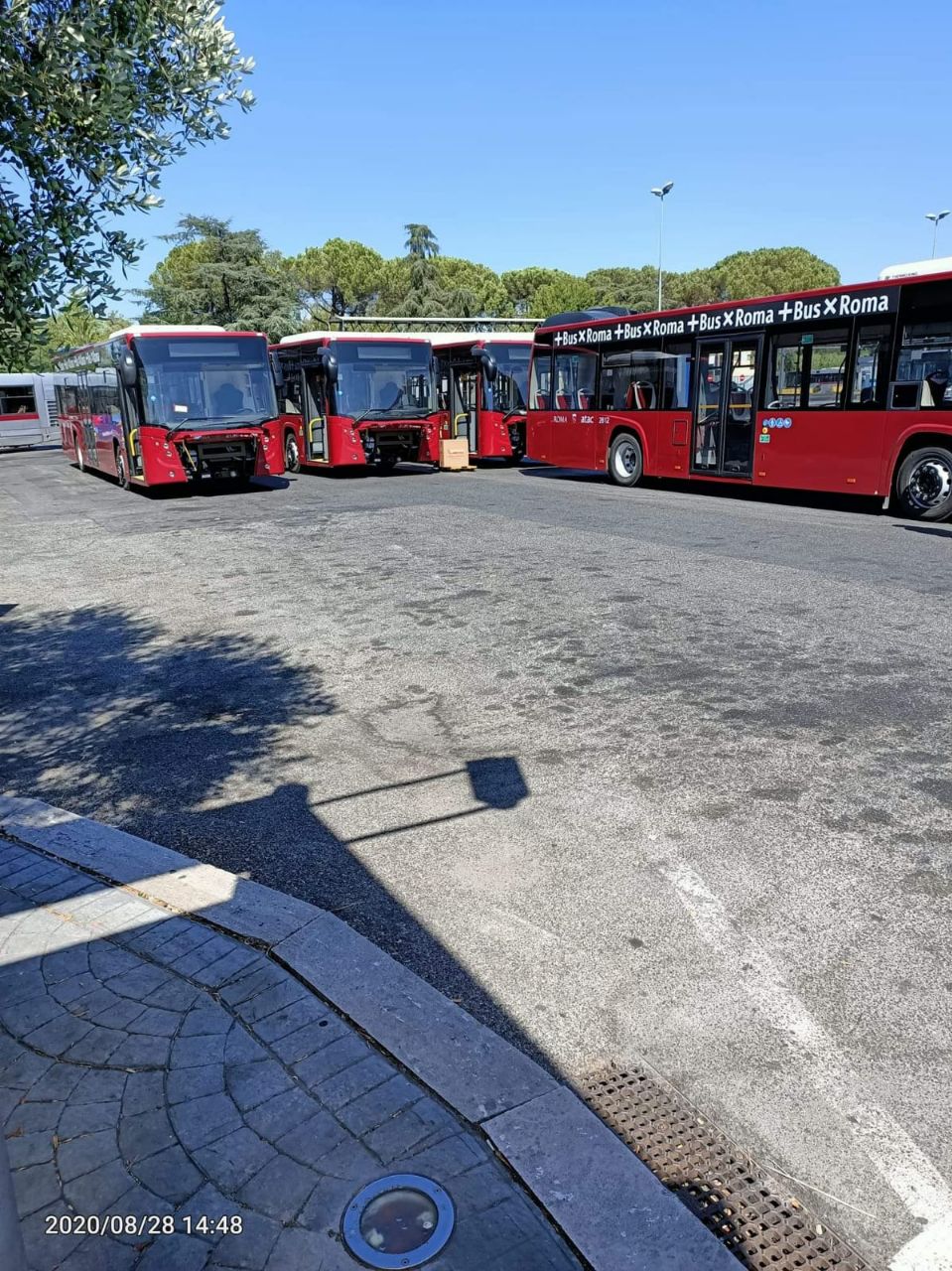 nuovi+bus6.jpg