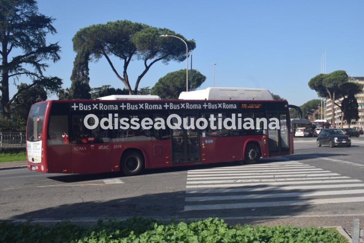 Il mistero delle linee sospese - 