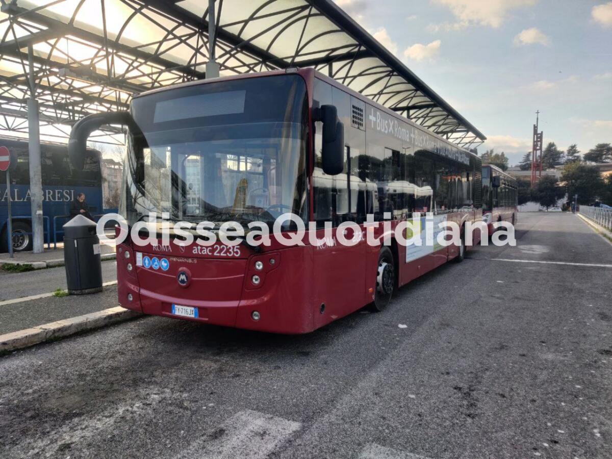 Le 20 linee con più corse a febbraio - 