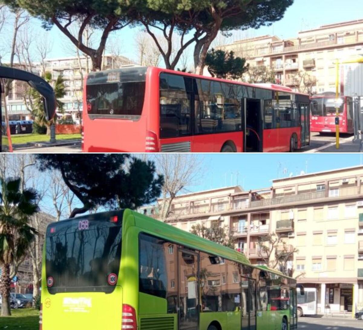 Il servizio integrativo del trasporto pubblico romano - 