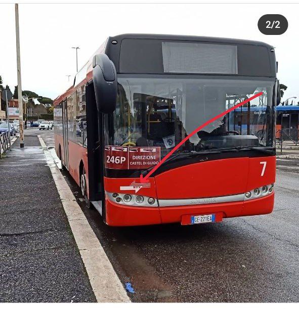 bus+4.jpg