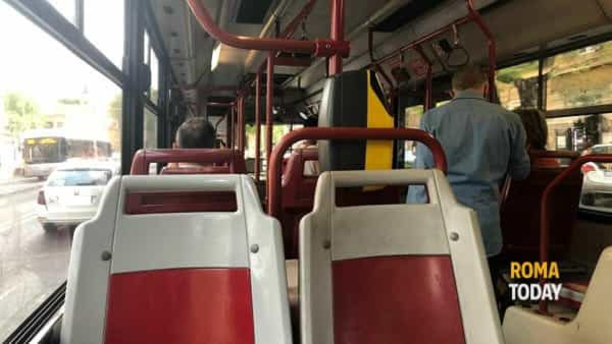 Panico a bordo del 916: armato di martello danneggia bus e ferisce due ragazzini - 