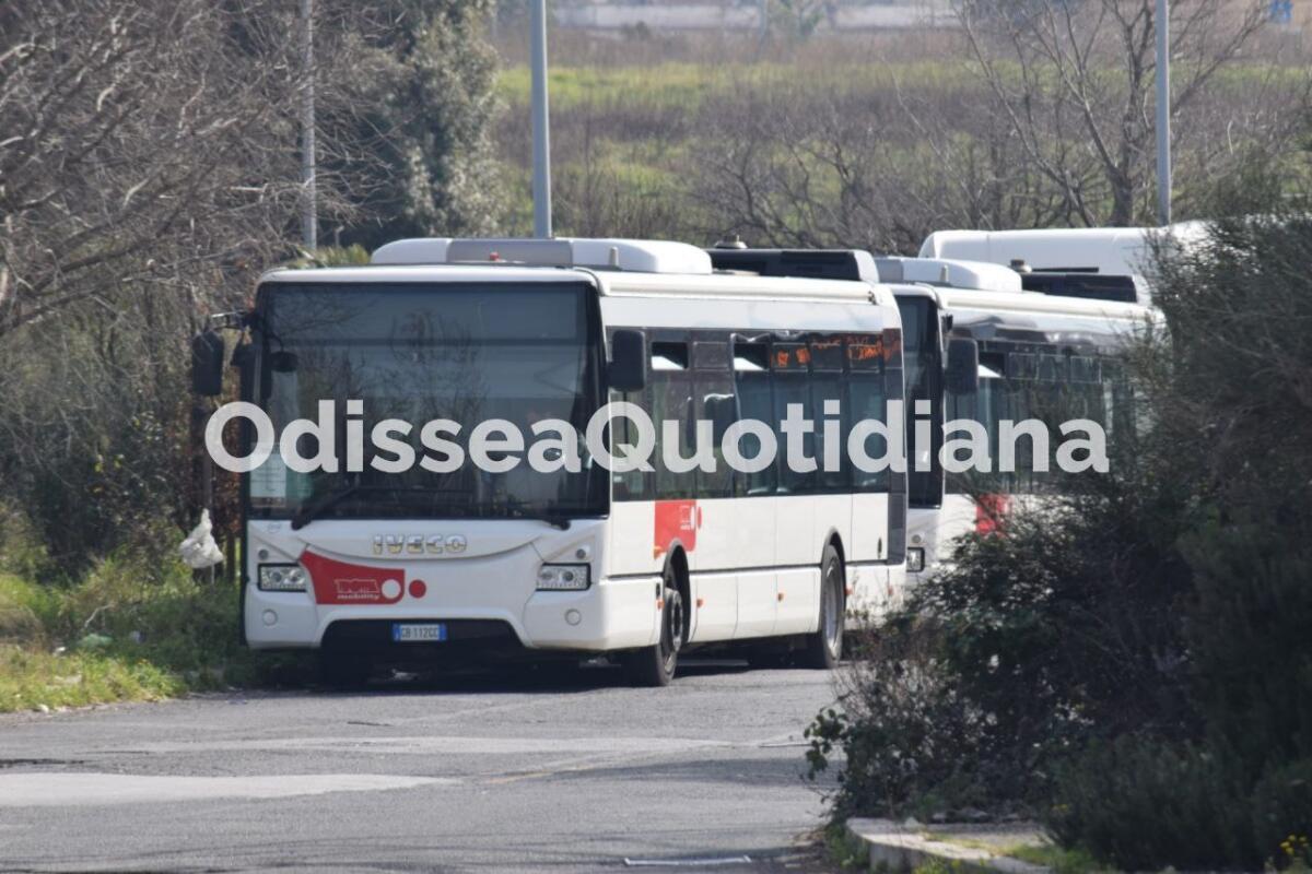 I bus turistici in aiuto ad Atac che girano vuoti per Roma - 