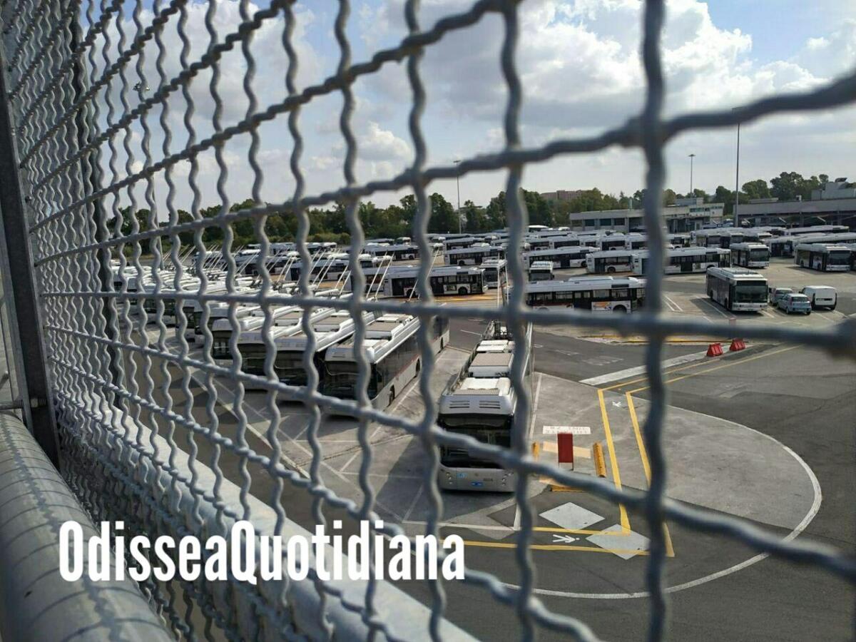 Filobus fermi da 15 mesi perché senza manutenzione - 