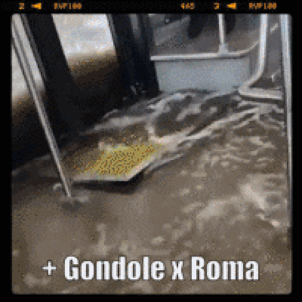 Anvedi com'è cambiata Hydromania - 