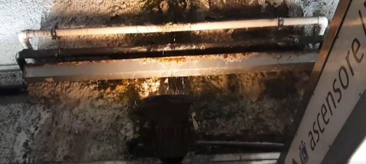 Roma e le stazioni Metro "immerse" nella natura.. - 