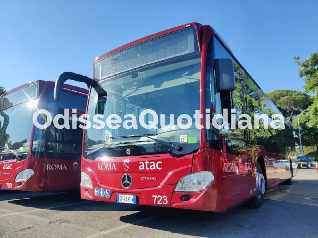 AVvXsEj3qu4eBzO_GT2ua8FkrYdTS9E_wZXBL8Hmp7vkygBsdLrAVDHp7wlJl_foO7tU6efDCDYyltlyggFXJGifogMQWPLB0jF1mKYalZcLeqE5b_Bvcm3UcKCeQqePE2DOm4SNq45LuxPlrqT4rz1R7kDCrwnJfFSGJhoEu5Pa-ai1wVgU4qyGsnxaaeHj=s320