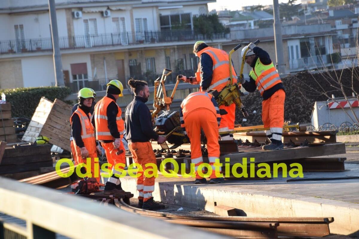Potature e lavori: le modifiche alla rete tramviaria romana - 