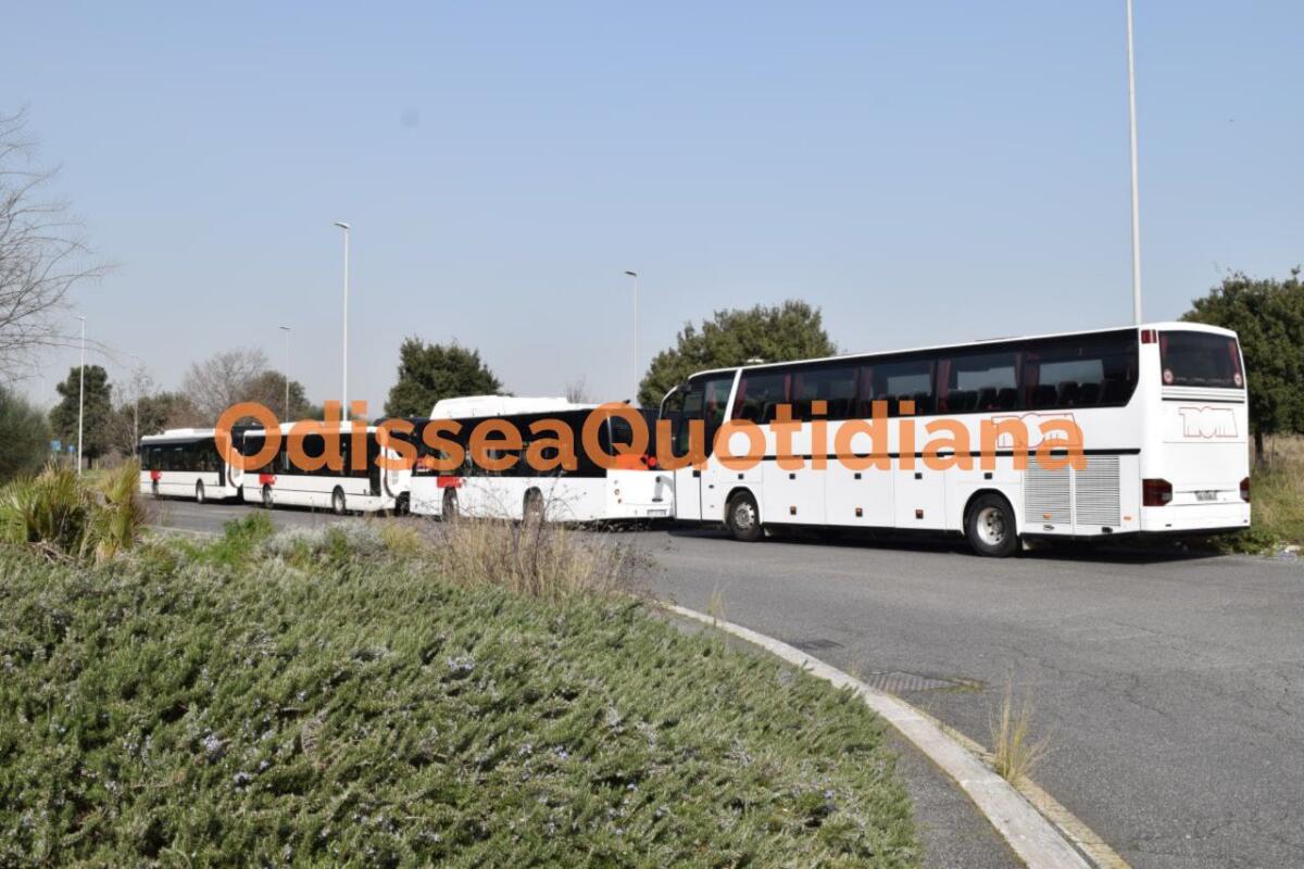 Linee S: servizio attivo fino al 30 luglio - 