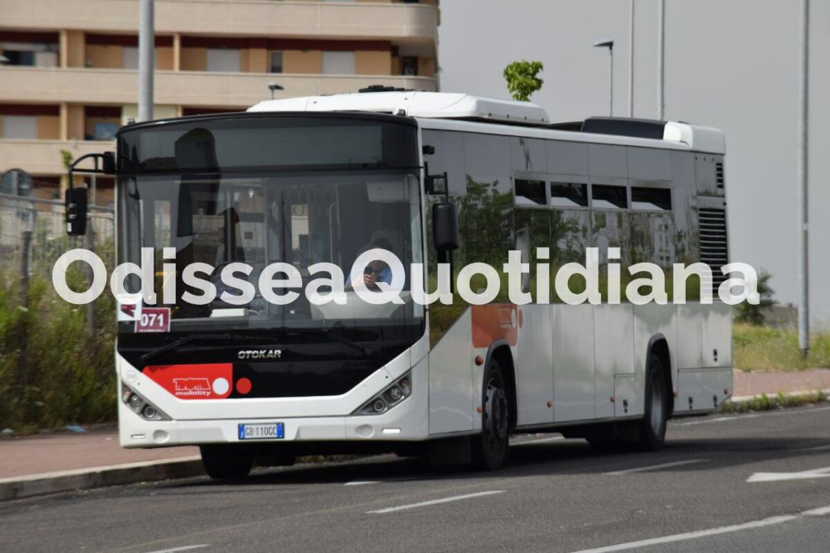 Roma - Linee periferiche: Trotta Bus, le vicende di una delle aziende vincitrici del bando - 