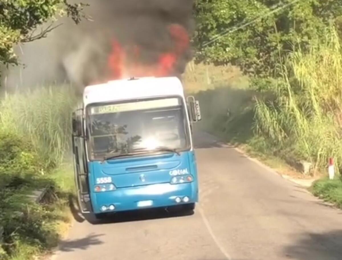 Cotral: prende fuoco un bus a Fara Sabina - 