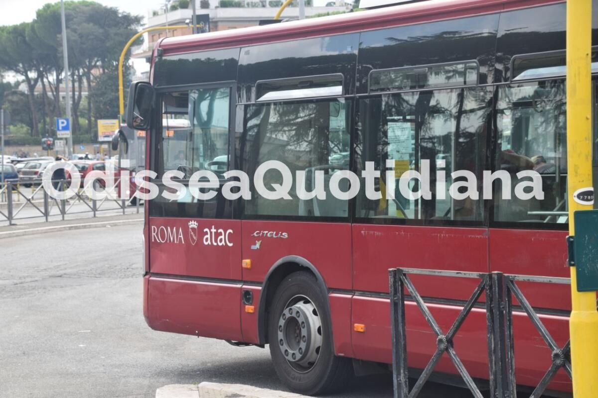 La linea bus 712 si rinnova: cambiano percorso e capolinea - 