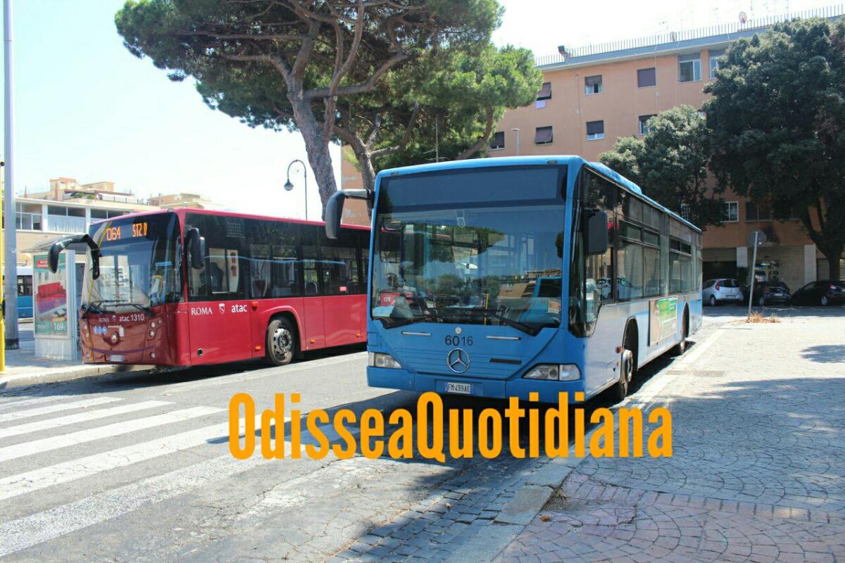 Rete bus notturna: dall’8 maggio attiva la nuova linea n070 - 