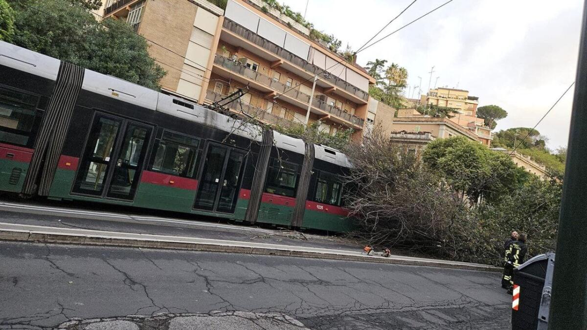 Tram 8: crolla un albero, linea interrotta - 