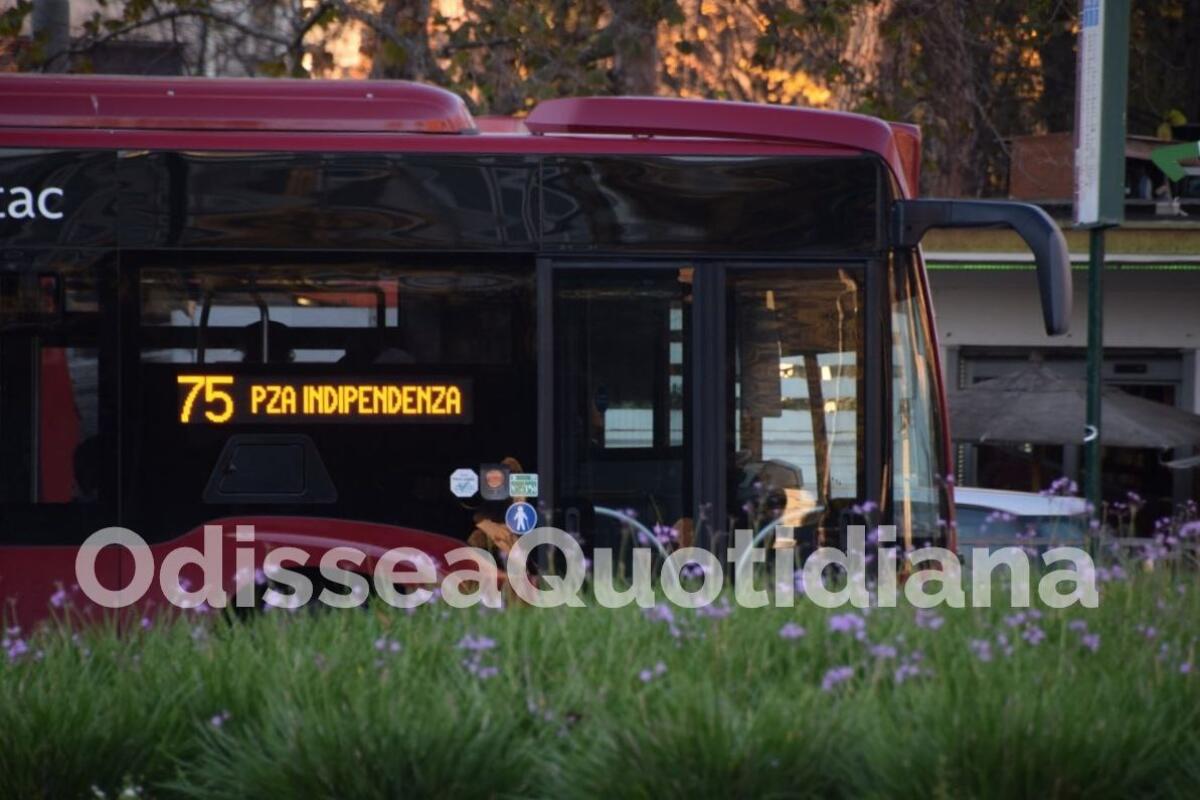 Odissea Quotidiana: dove stiamo andando? - 