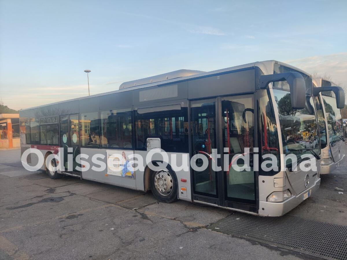 Antica Città di Gabii e Fosso di San Giuliano: la commissione traccia il piano della mobilità    - 