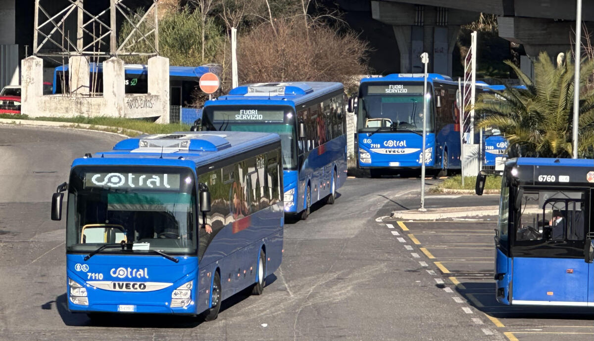 Cotral: in consegna nuovi bus Iveco. Prosegue il rinnovo della flotta - 