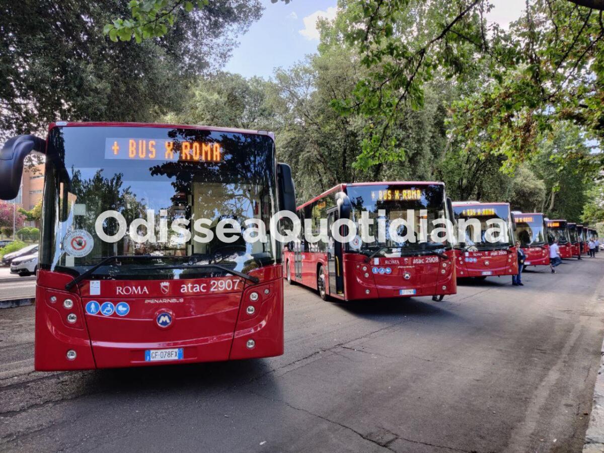 Linea 309: dal 27 maggio percorso limitato a Tiburtina - 
