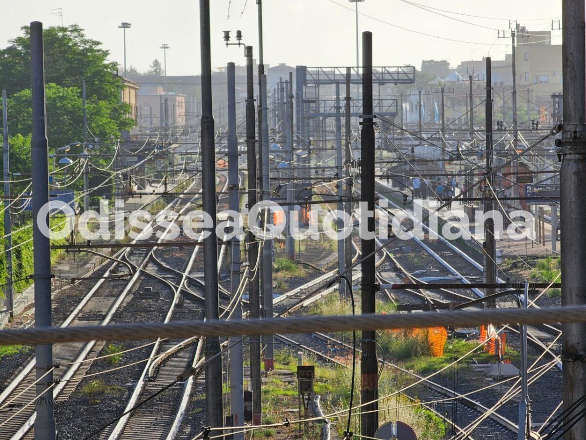 Ferrovie regionali: spunta l’ipotesi del treno h24 per Fiumicino - 