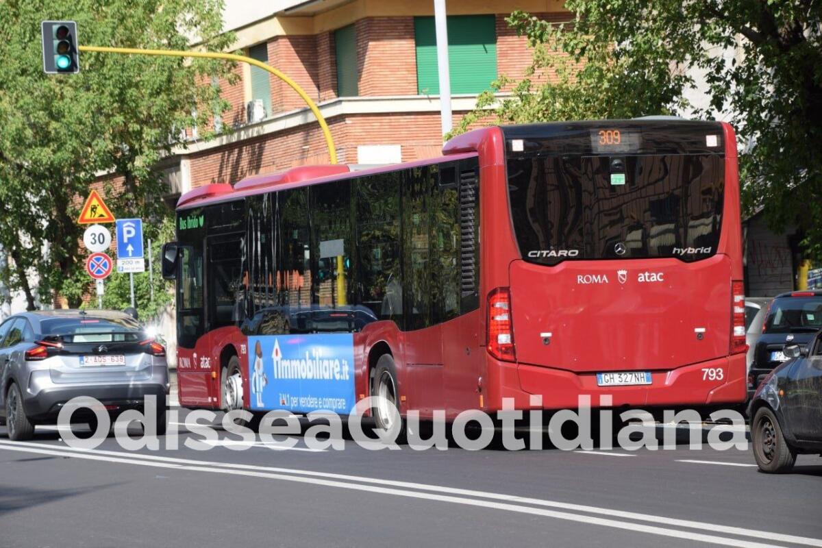 Atac: dal 5 giugno la linea 309 torna a piazza Bologna - 