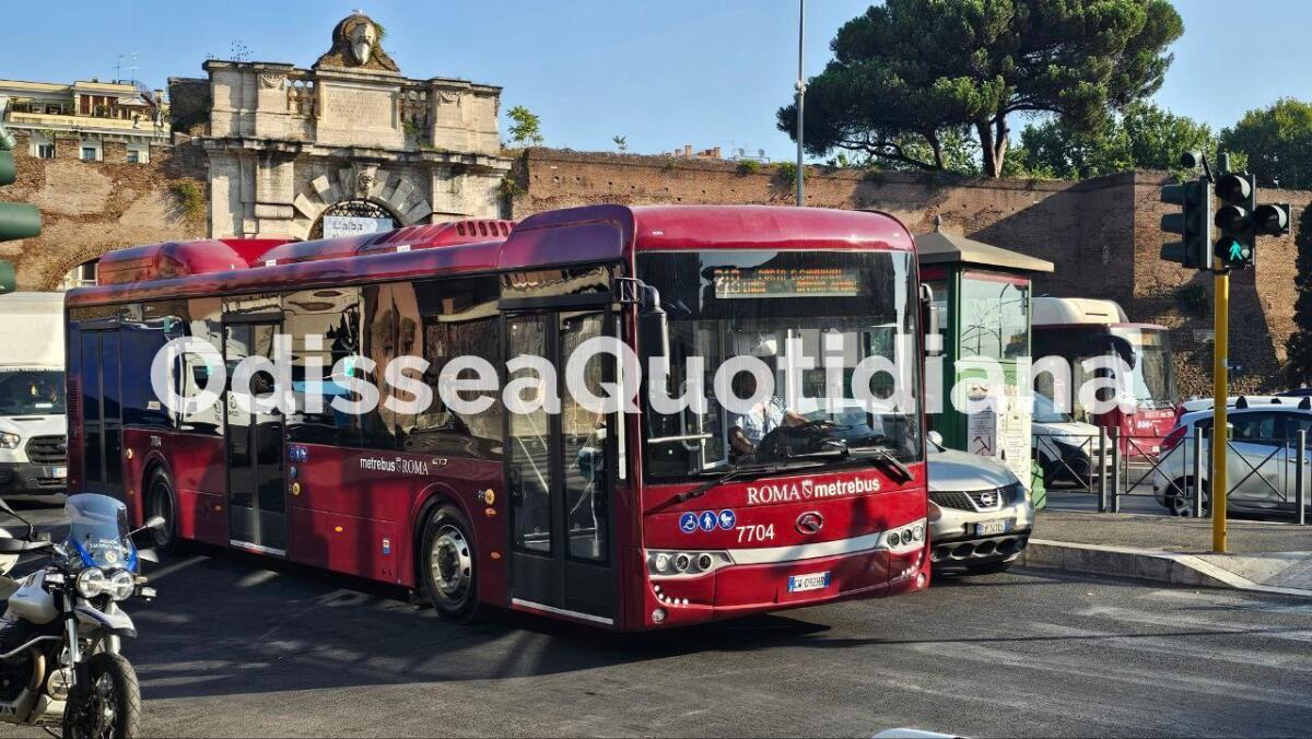 Rete bus periferica: entrano in servizio i primi King Long - 