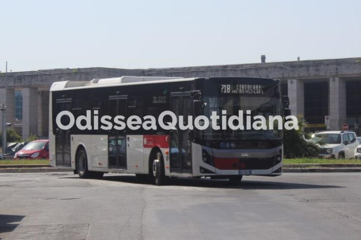 Ponte dell’Industria: via al piano di riassetto della rete bus - 