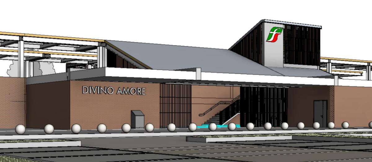 Divino Amore FS: avviata la valutazione ambientale della nuova stazione - 