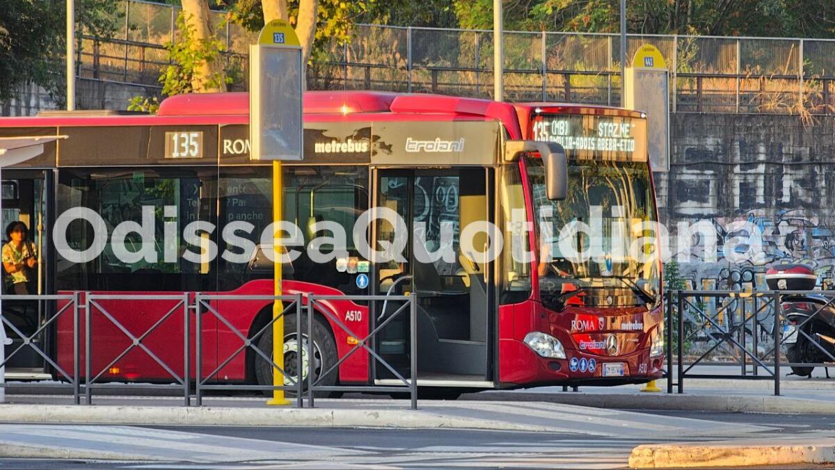 Rete bus periferica: da lunedì 16 settembre Troiani acquisisce altre 4 linee - 