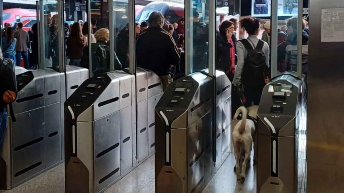 Ferrovie regionali: circolazione bloccata a Roma e nel Lazio - 
