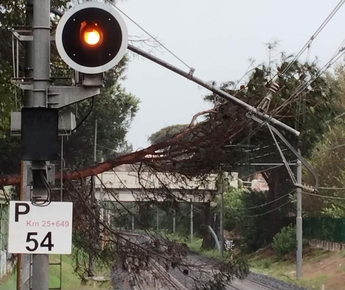 Roma-Lido: cade un ramo sulla linea elettrica - 