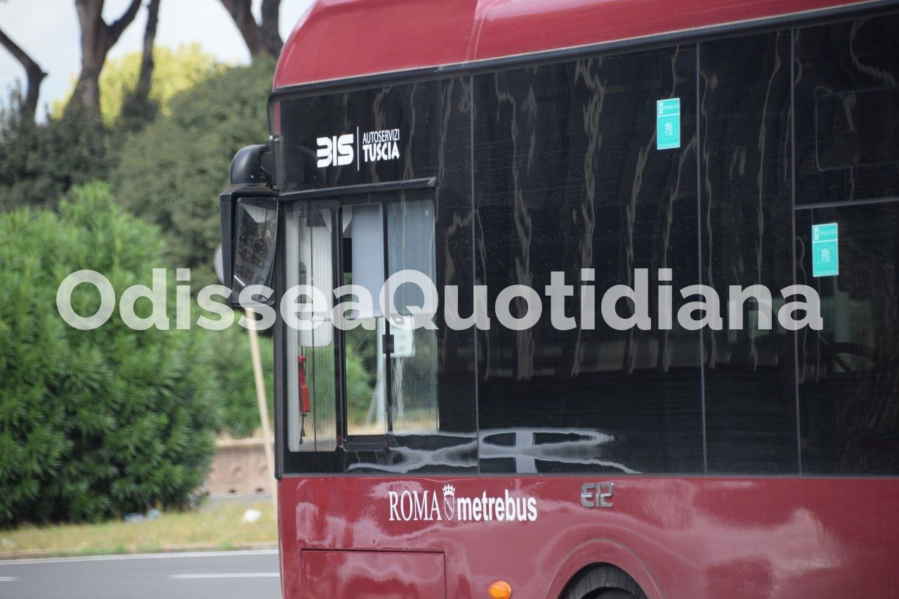 Rete bus periferica: SAP e BIS acquisiscono altre linee